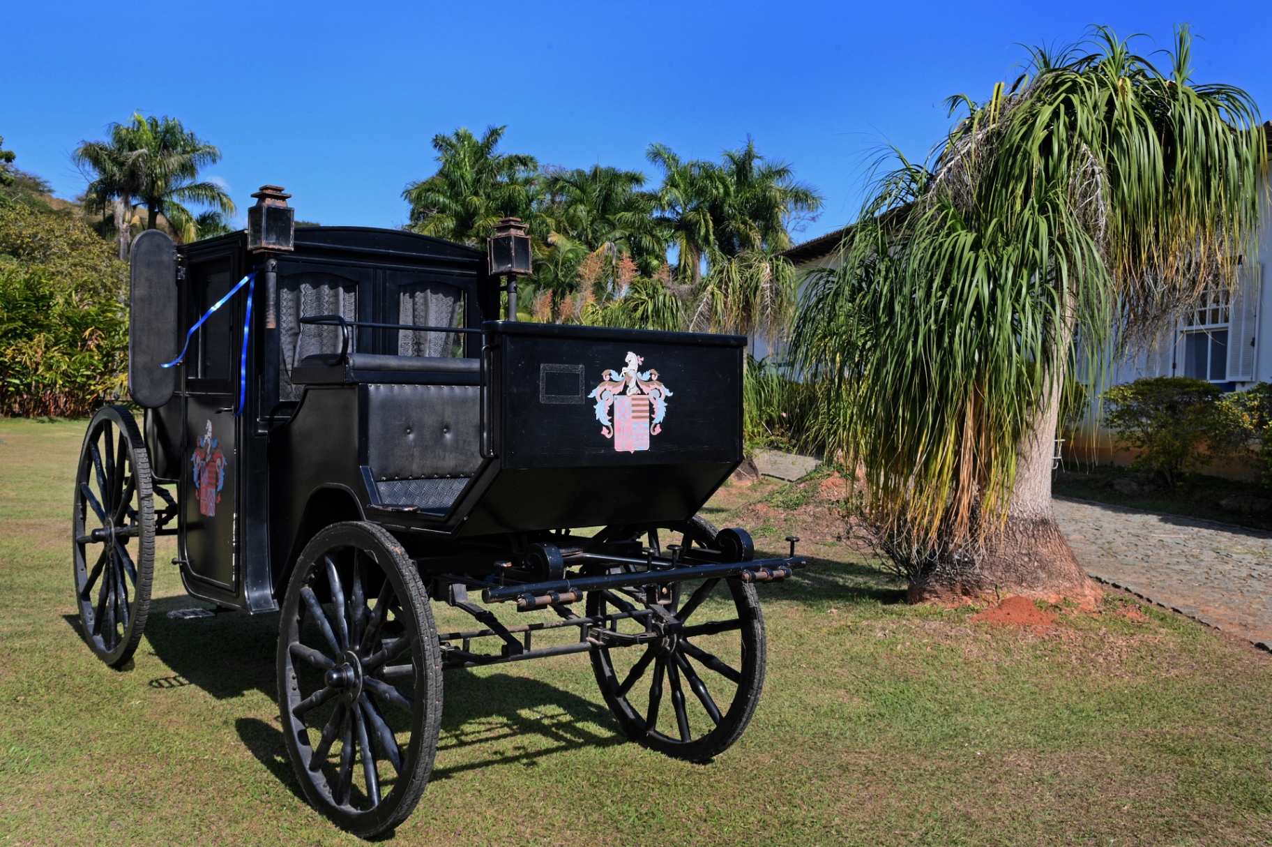 História do Festival